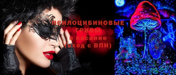 индика Алексеевка